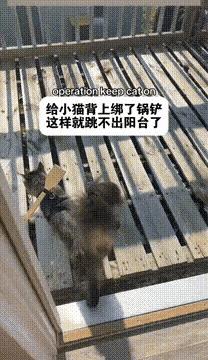 主人煞费苦心啊？[赞]