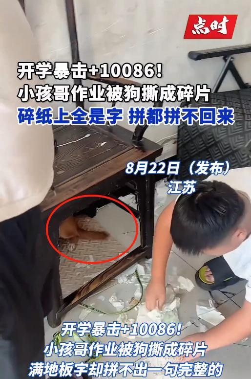 “笑麻了！”8月21日，江苏徐州，一女子睡觉时听到客厅传来动静，于是出来查看情况