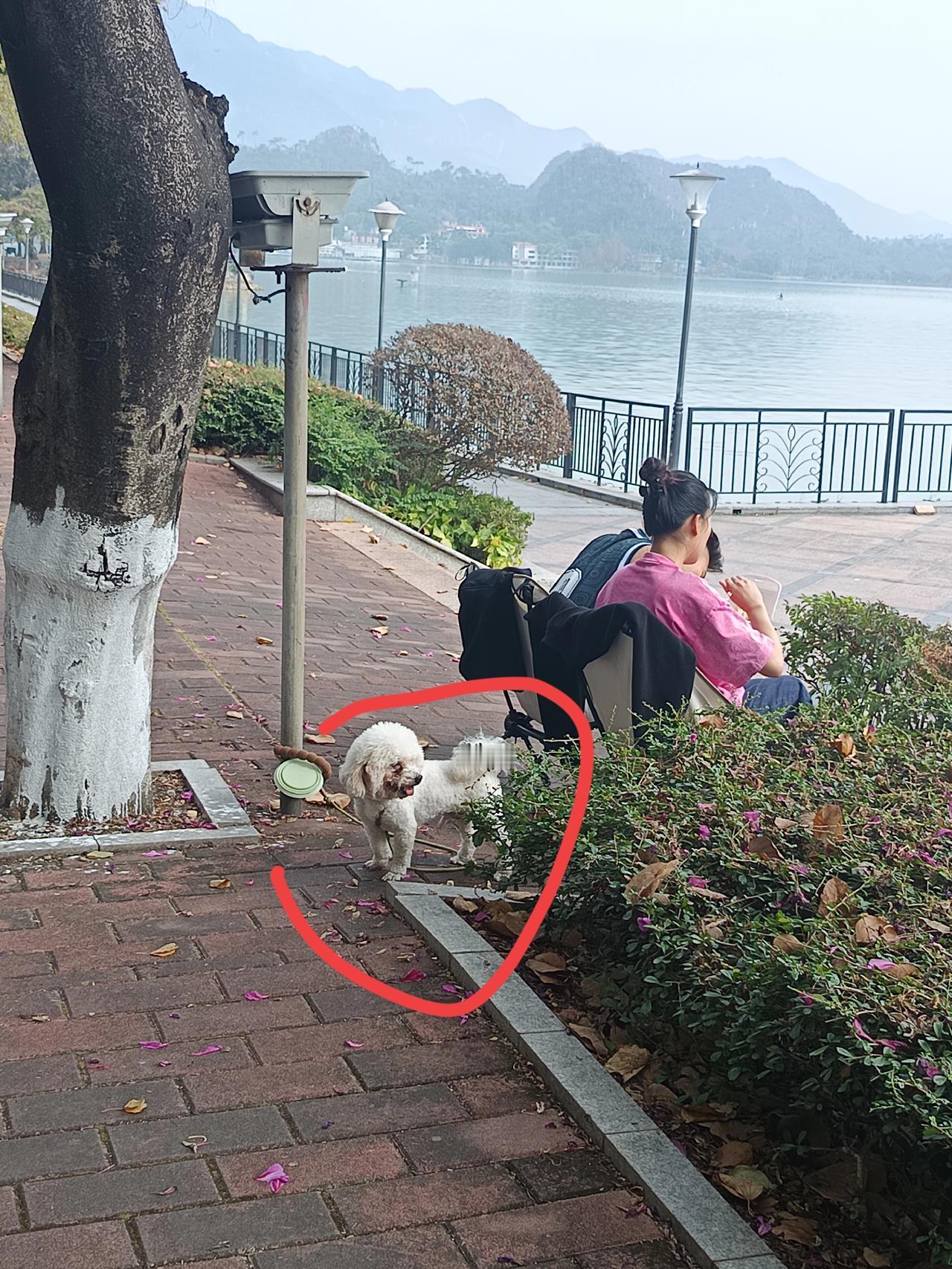 为什么肇庆是一个三四线城市却依然有这么多人移居到这边？你敢相信吗？肇庆这