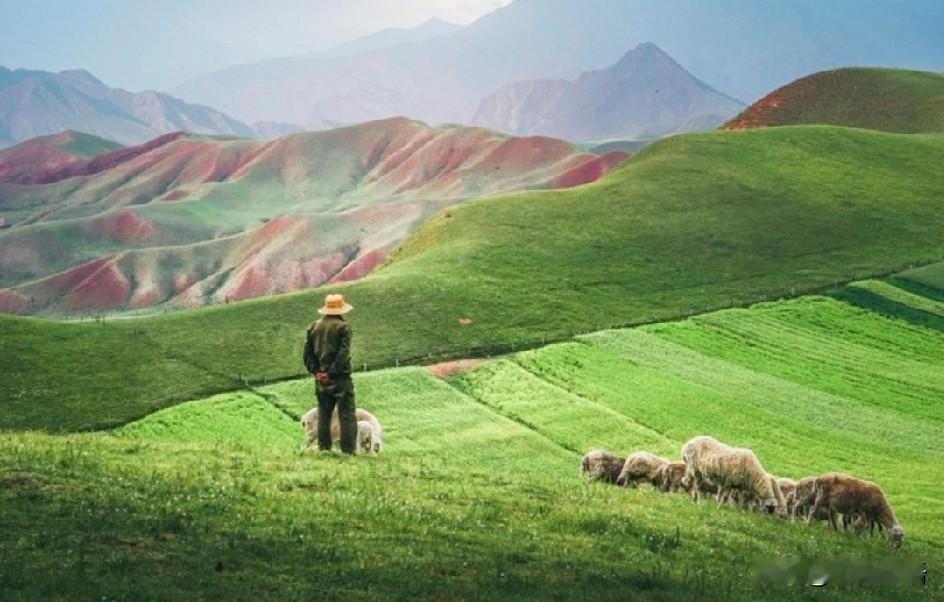 月薪1.6万放羊，常年见不到人，这样的工作，你会应聘吗？看到一条新闻：内