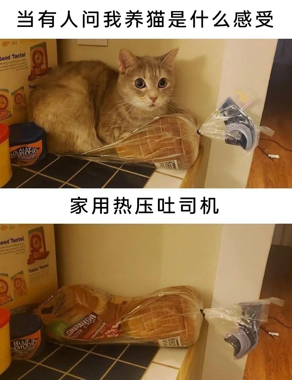比我用处大memes​​​