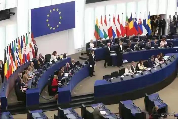 欧洲27国狠捅“马蜂窝”.中方最后通牒发往欧盟近日，欧洲一些政治团体和机构的