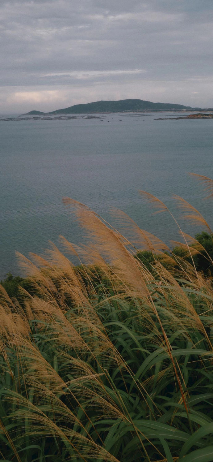 让人看到就很开心的壁纸