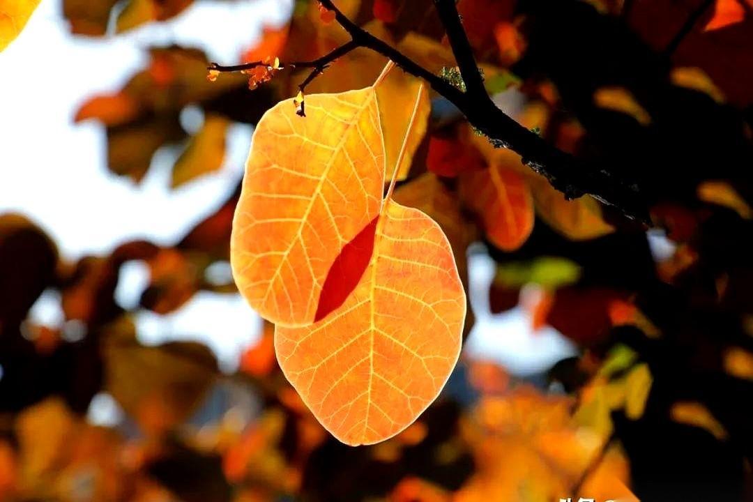 我今天才发现，这年头最“热闹”的地方，竟然是医院的精神科。真的，不是开玩笑。