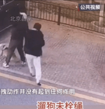 狗咬狗索赔2万两狗主人对簿公堂竟被反诉。北京昌平的杨先生像往常一样，在自