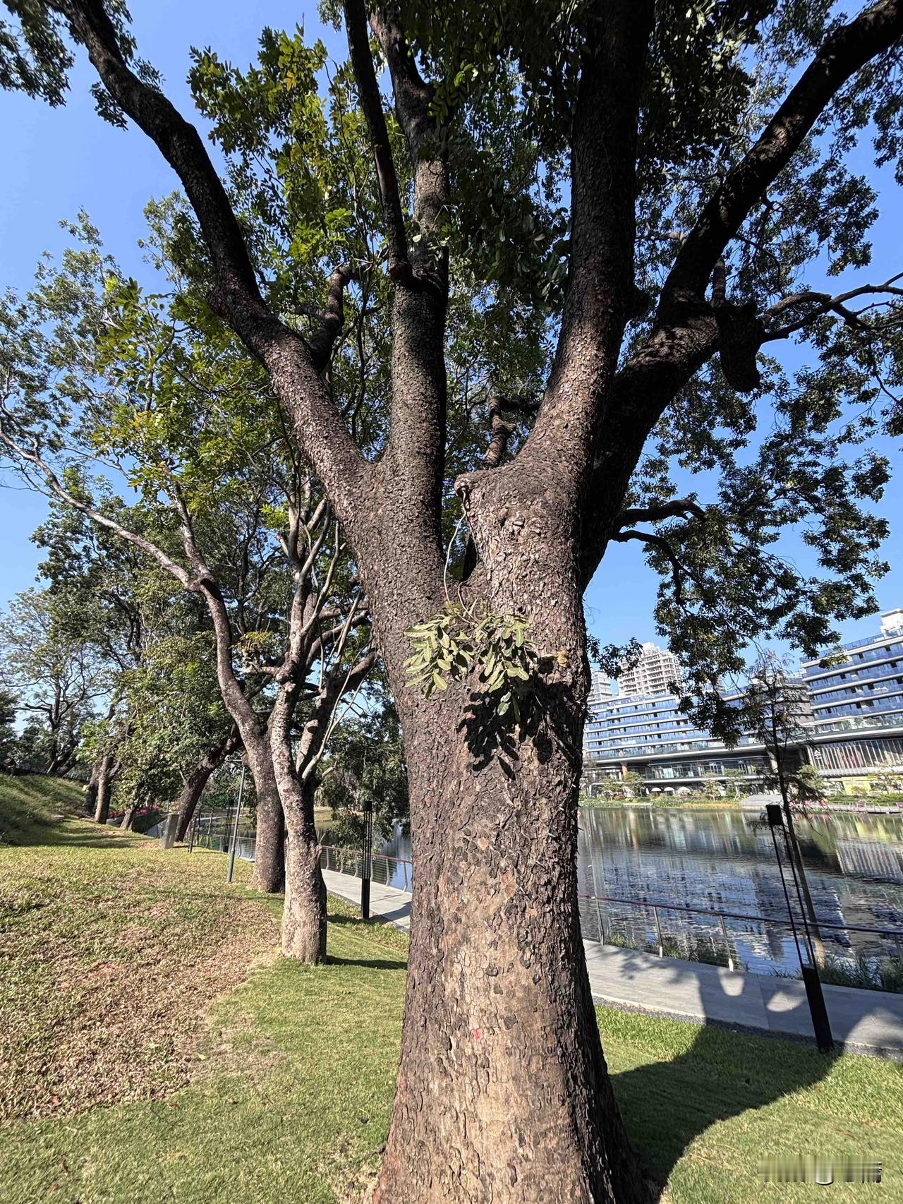 钱的真相：买命，还是买自由？很多人一辈子没整明白：钱不是拿来买东西的，是拿来