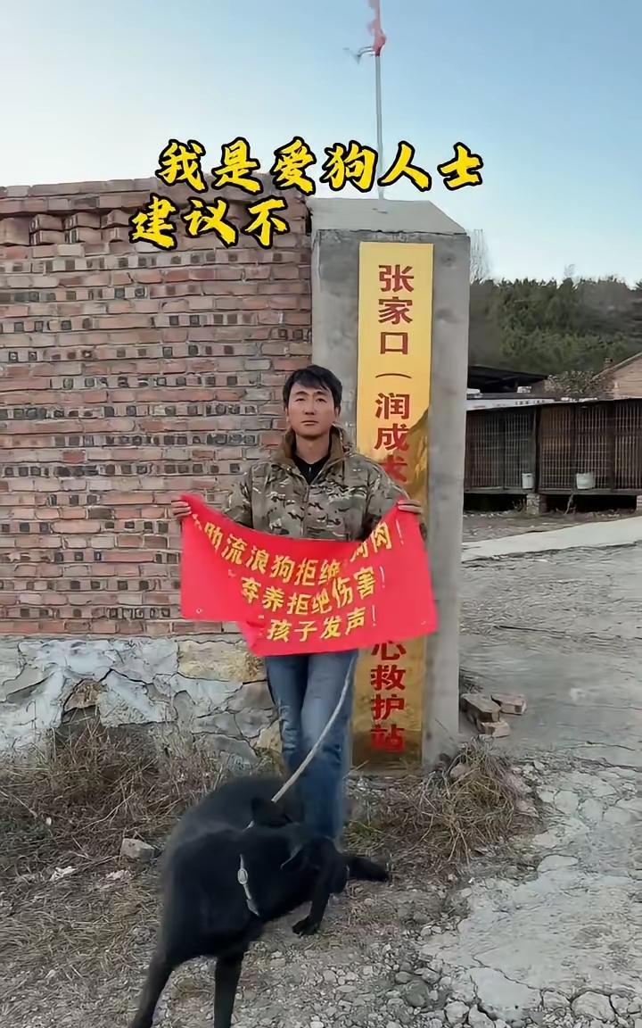 查查这家养狗中心