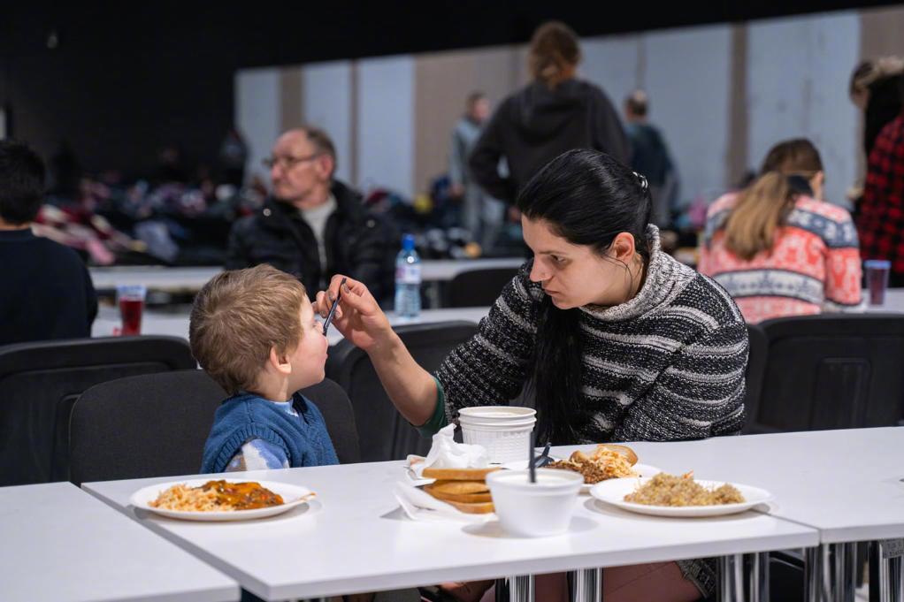 #欧盟境内四分之一乌女性难民曾遭暴力#【调查：欧盟境内四分之一乌克兰女性难民曾遭
