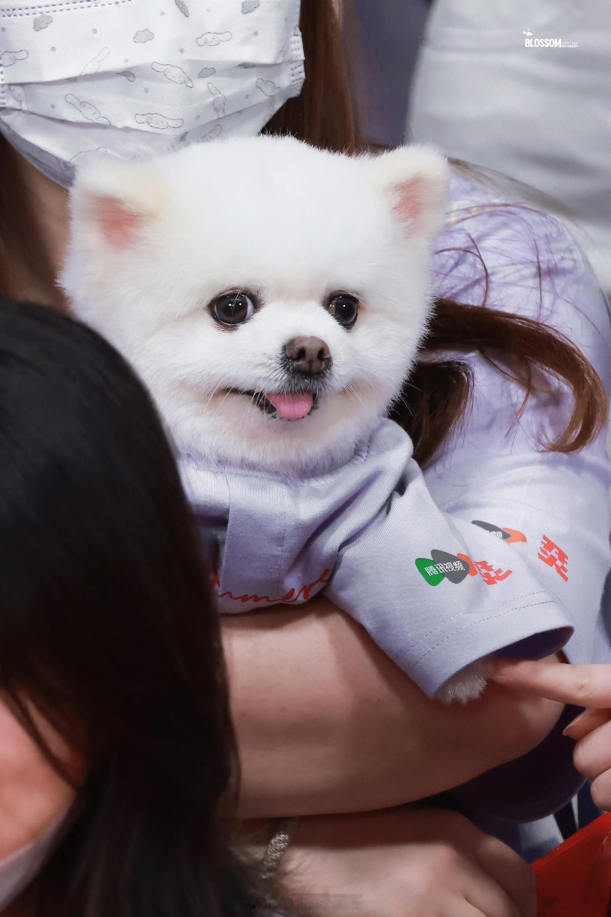 孟子义丁禹兮现在就是最好的年纪哥哥和妹妹生图已经抗打哥哥好萌啊