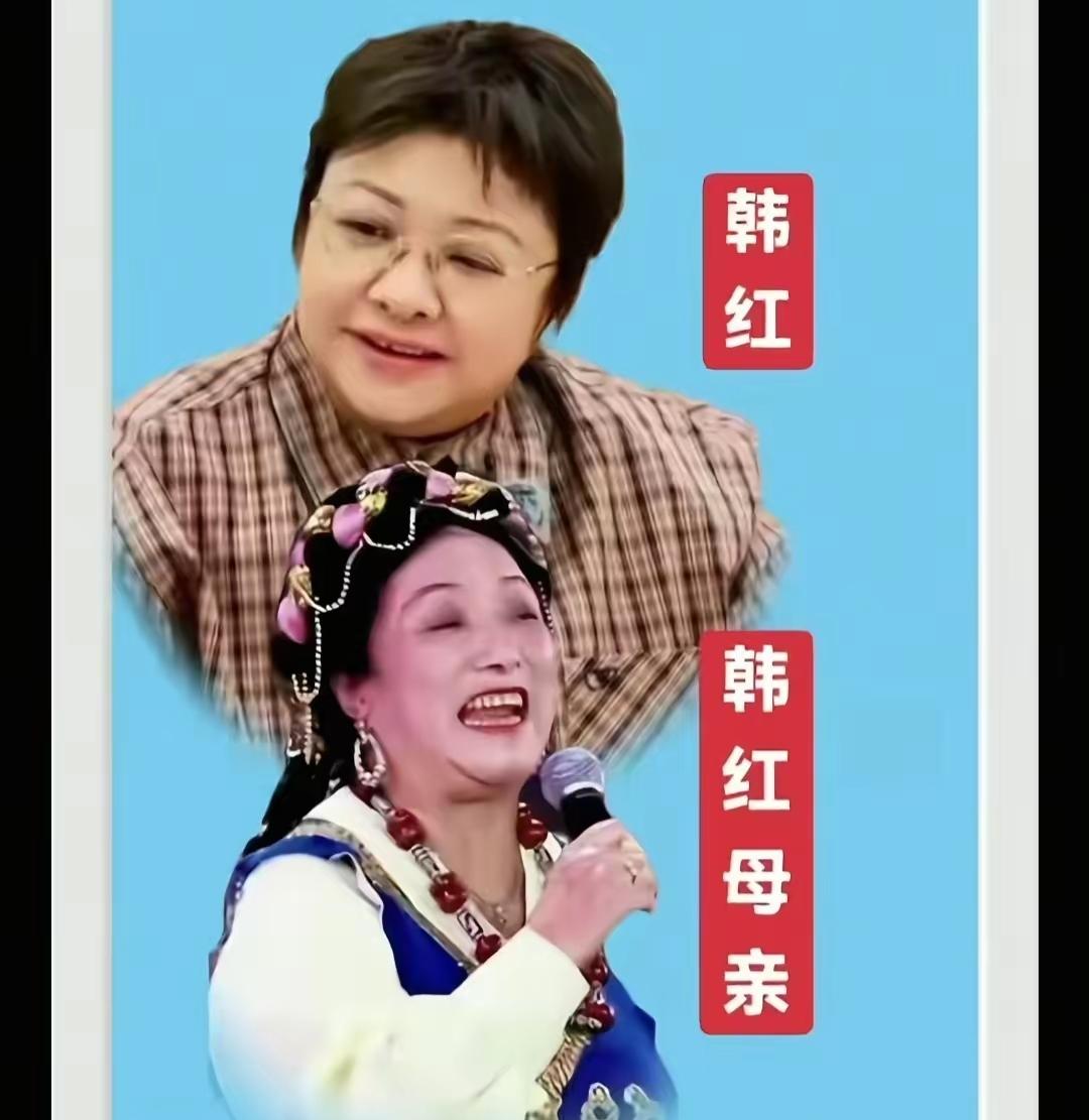 到底是虚情假意的做秀，还是救死扶伤的善意，这些年来韩红和她的的基金会都做了些