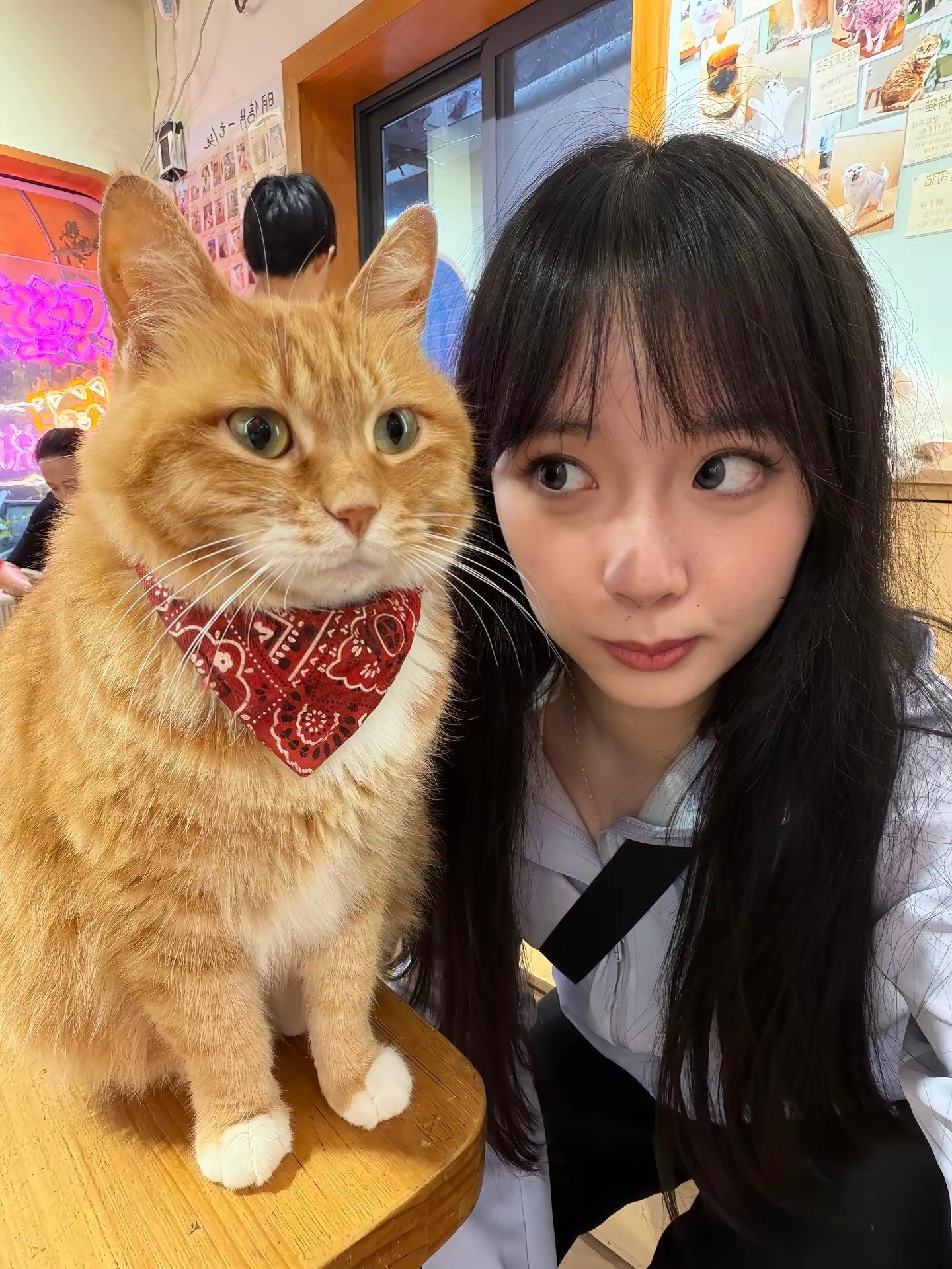 猫咪：拍好了吗？我着急回家