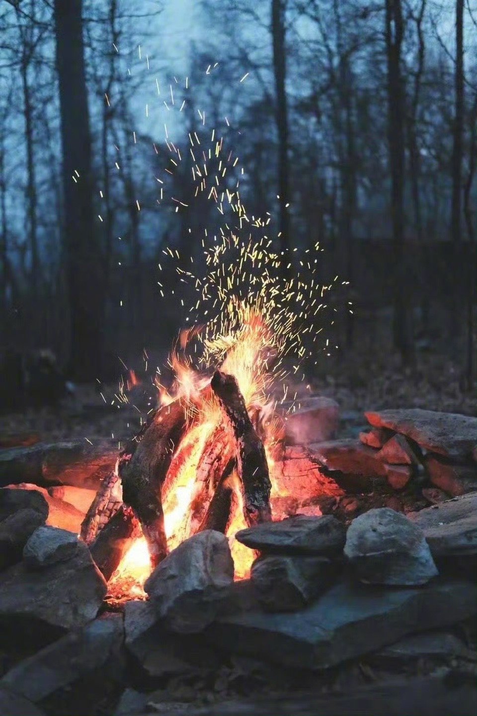 孤独既生智慧，同样也产生更大的执念，离神很近的人，离魔就一墙之隔。没有任何一件事
