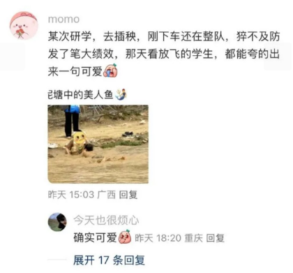 确实可爱，哈哈