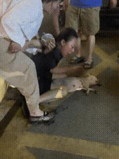 遛狗一定记得拴绳，是最基本的常识，也是对狗狗生命的一种保护！近日，福建一女子在