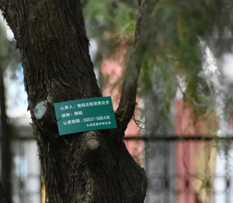 莎头粉丝在世界各地都用不同的方式爱着他们，为他们加油！网友在北京地坛公园，看到