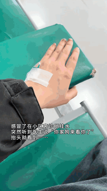 泪目了，这狗狗也太贴心啦！近日，一位姓汤的阿姨因感冒在诊所输液