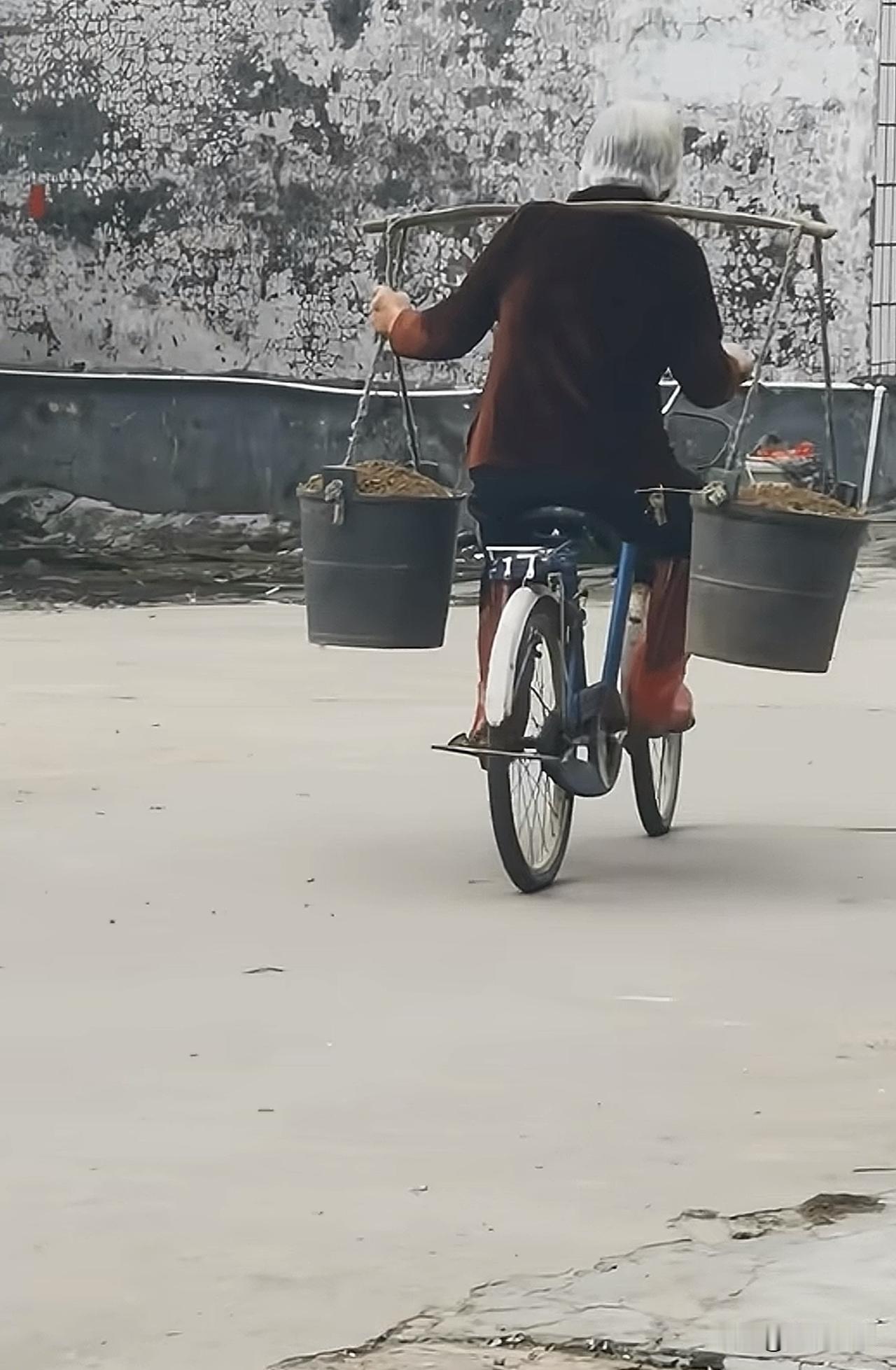 近日一网友晒出“老妈80多岁了”挑着土骑自行车去地里的画面…[赞]
