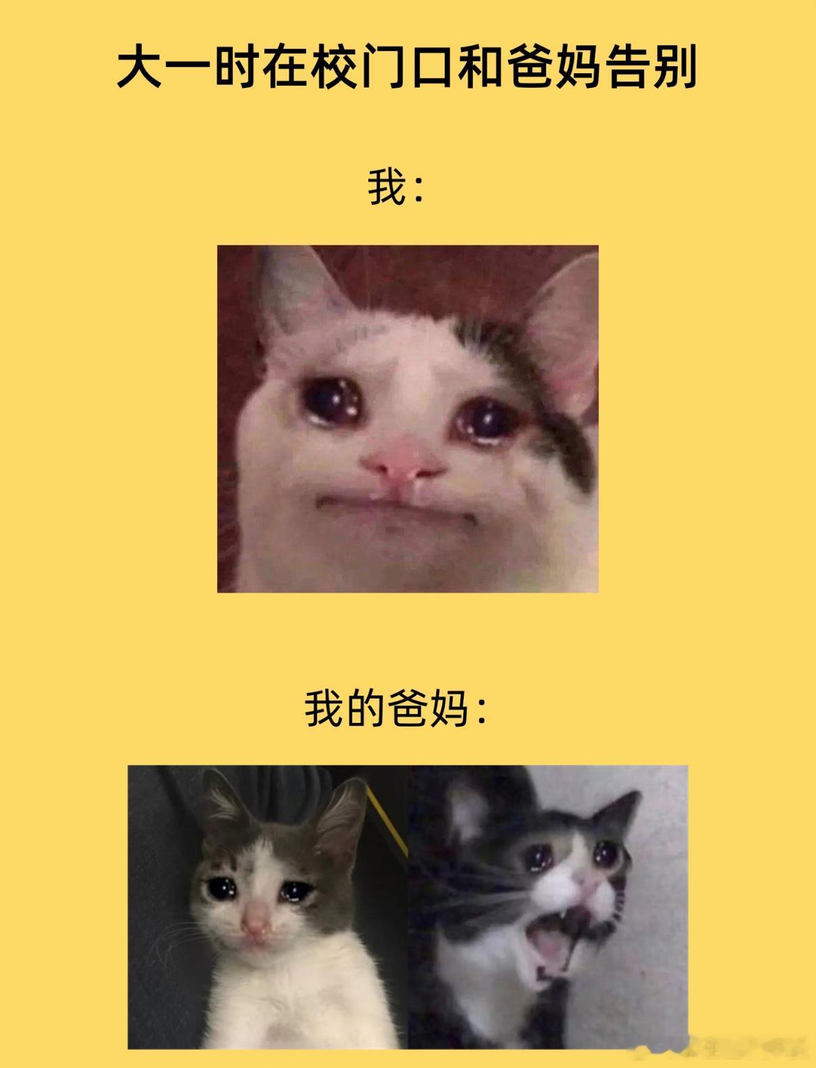大一开学VS大四开学​​​​