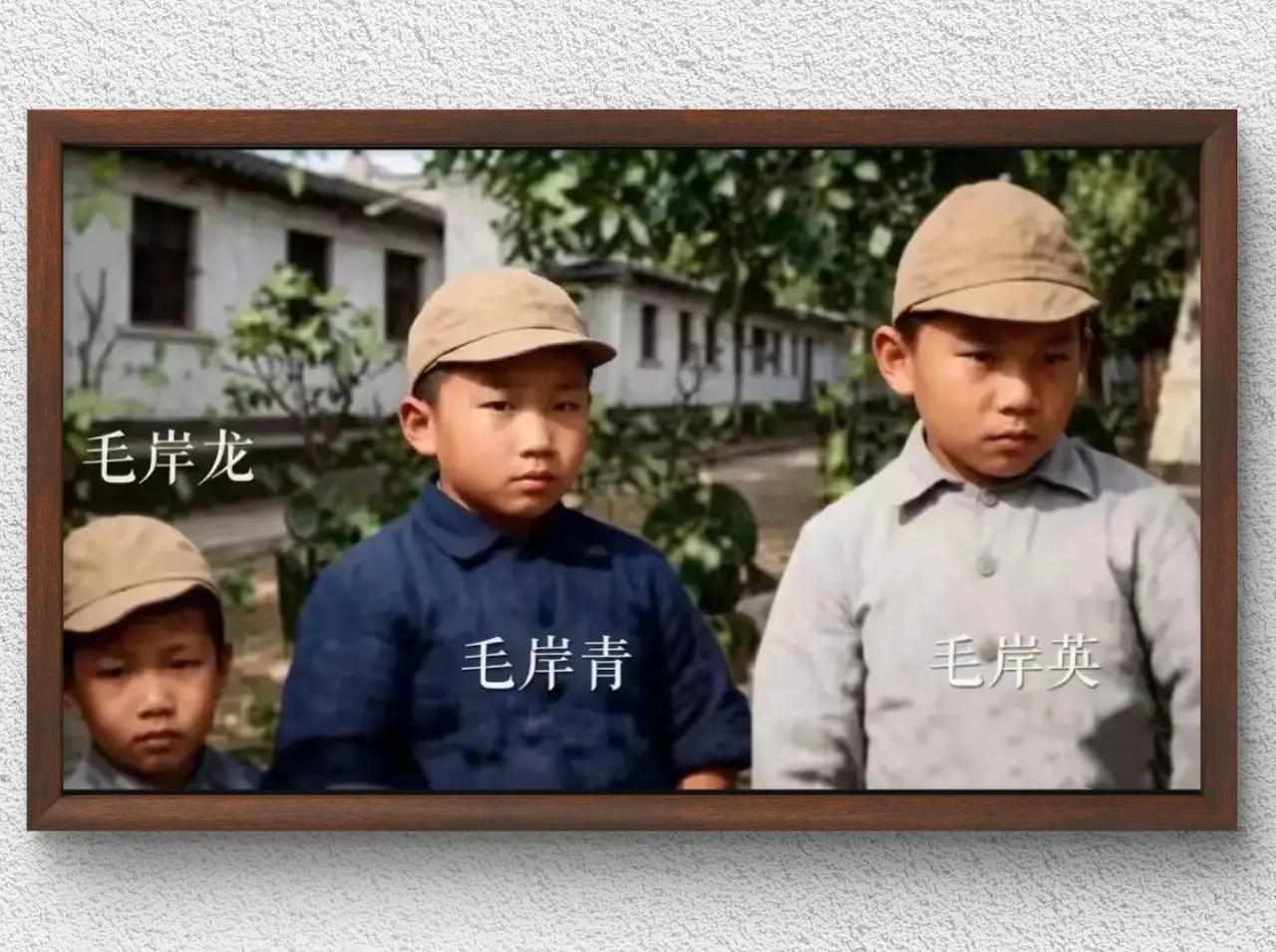 1930年深秋，杨开慧牺牲在长沙浏阳门外识字岭，杨开慧烈士牺牲后，这三兄弟被中