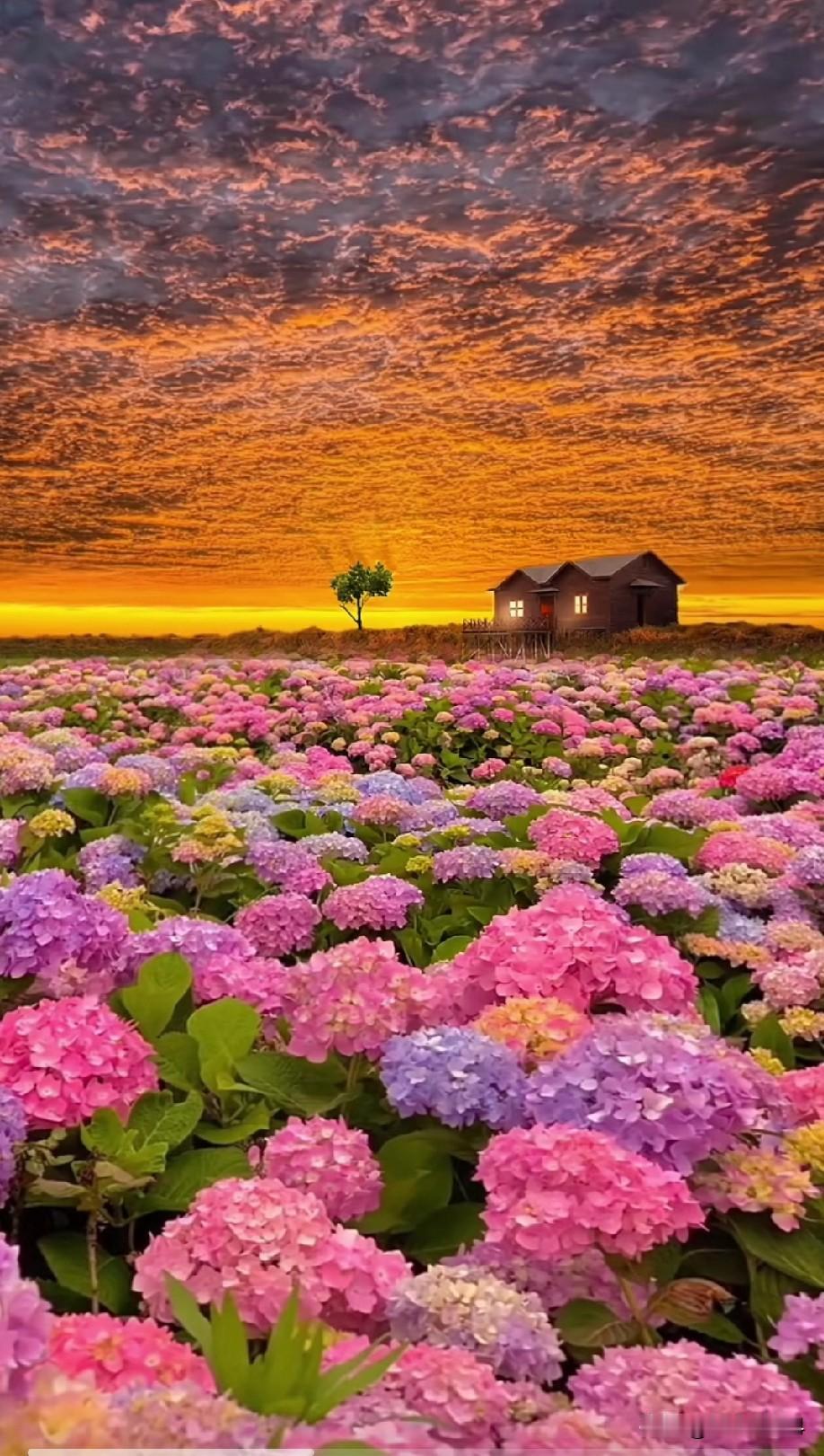 胃癌两年后，感觉冬天吃水果还是榨汁或打碎加热比较好！这些天就是