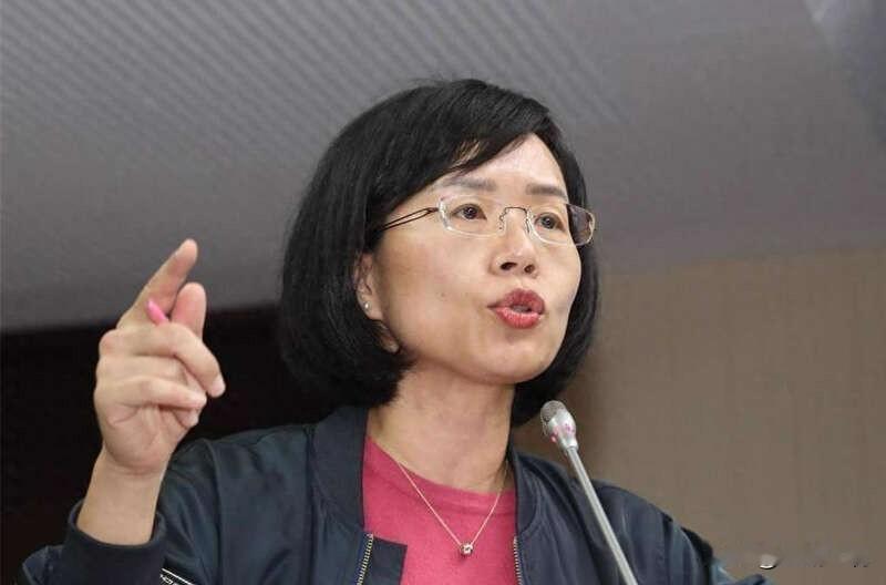 苏巧慧叫嚣：“台湾已是主权独立国家没必要再办统独公投”民进党新北市长候选人