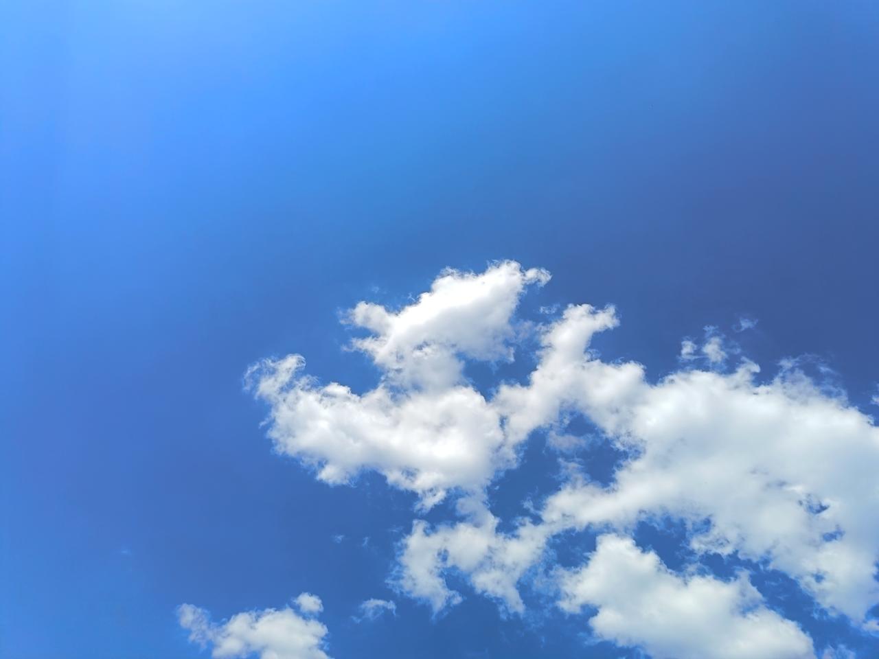 哥哥家的土地被弟弟霸占了，心里有气却无处发，因为弟弟扬言哥哥敢上门找他就打他，还