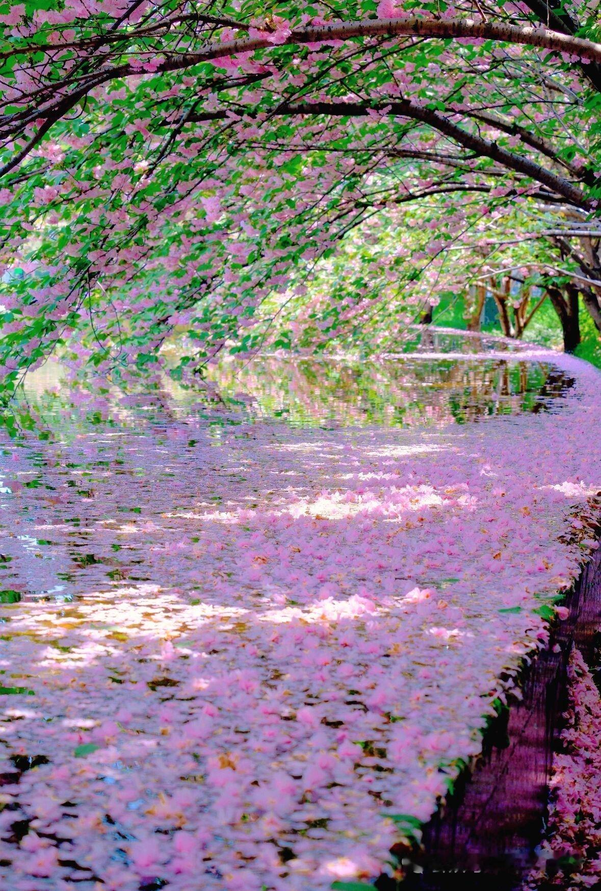 天蝎座是唯一一个像镜面的星座，因为你在天蝎面前，能照出你本来样子你真诚，他就