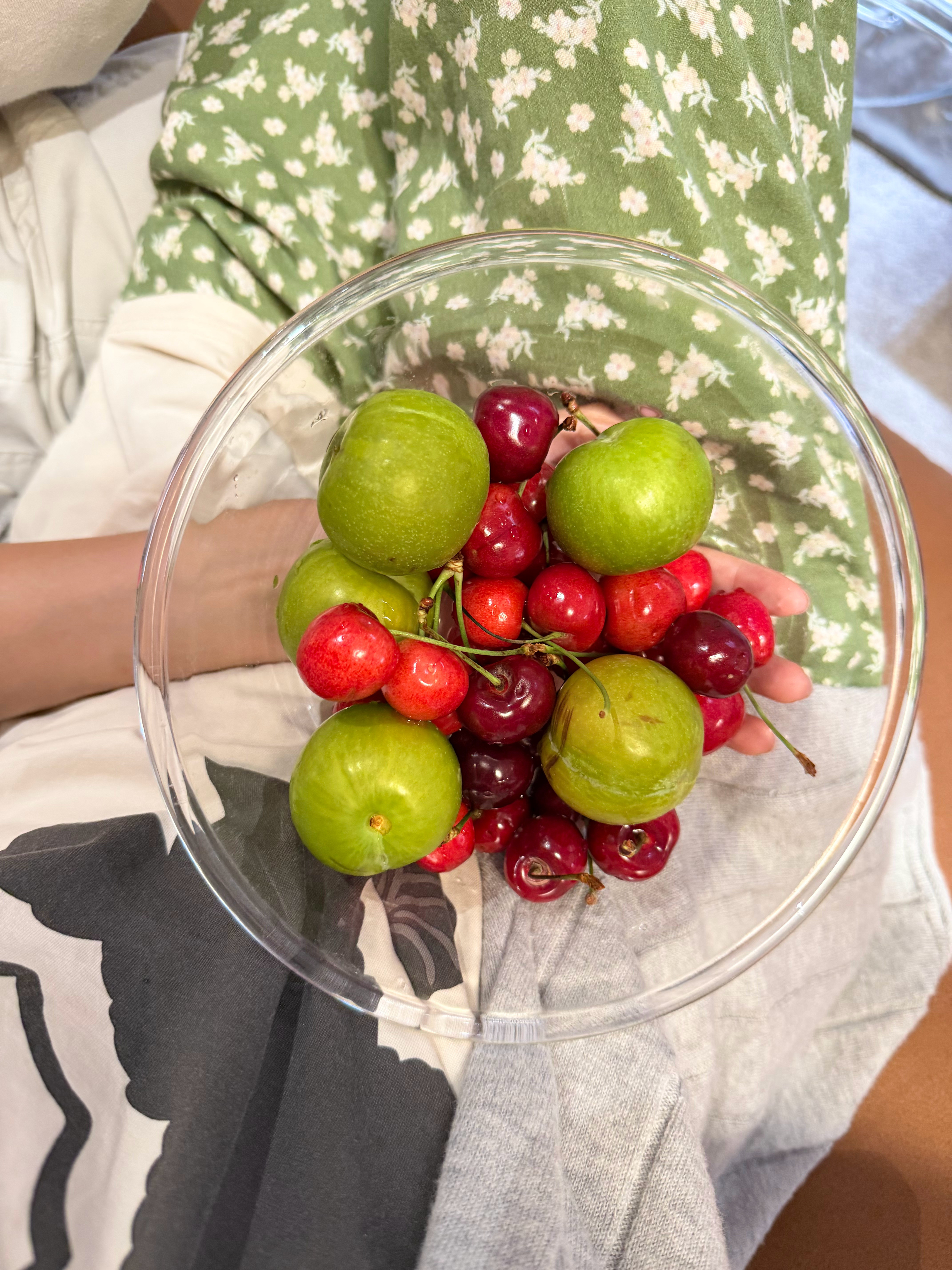 杂杂🍉🍒