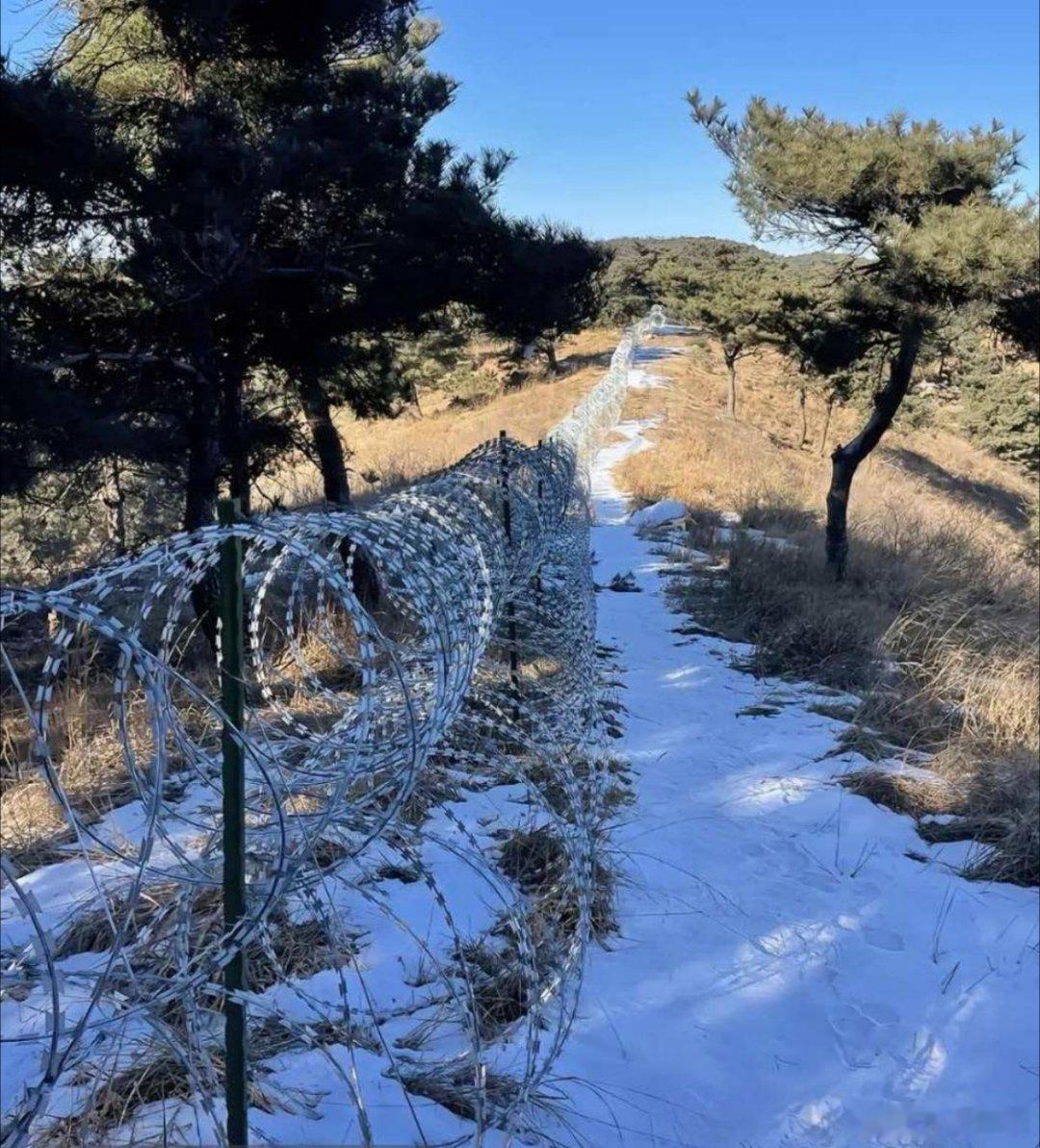 泰山疑被135公里刀片铁丝网围住绵延百里的刀片刺网环绕五岳之首，耗资千万的围栏看