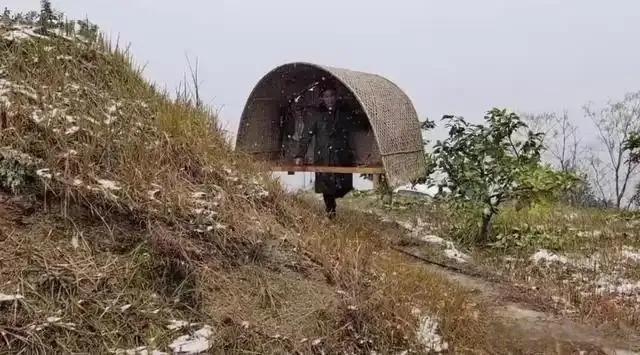 上了年纪的人或许多记得，当年人民公社大集体，每个生产队均有养鱼，养牛，有养鸭的专