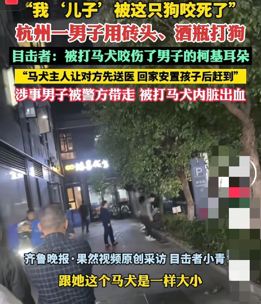 杭州马犬这事儿到底谁对谁错网络两边倒，有说两边都不无辜，有说马犬主人一定要追