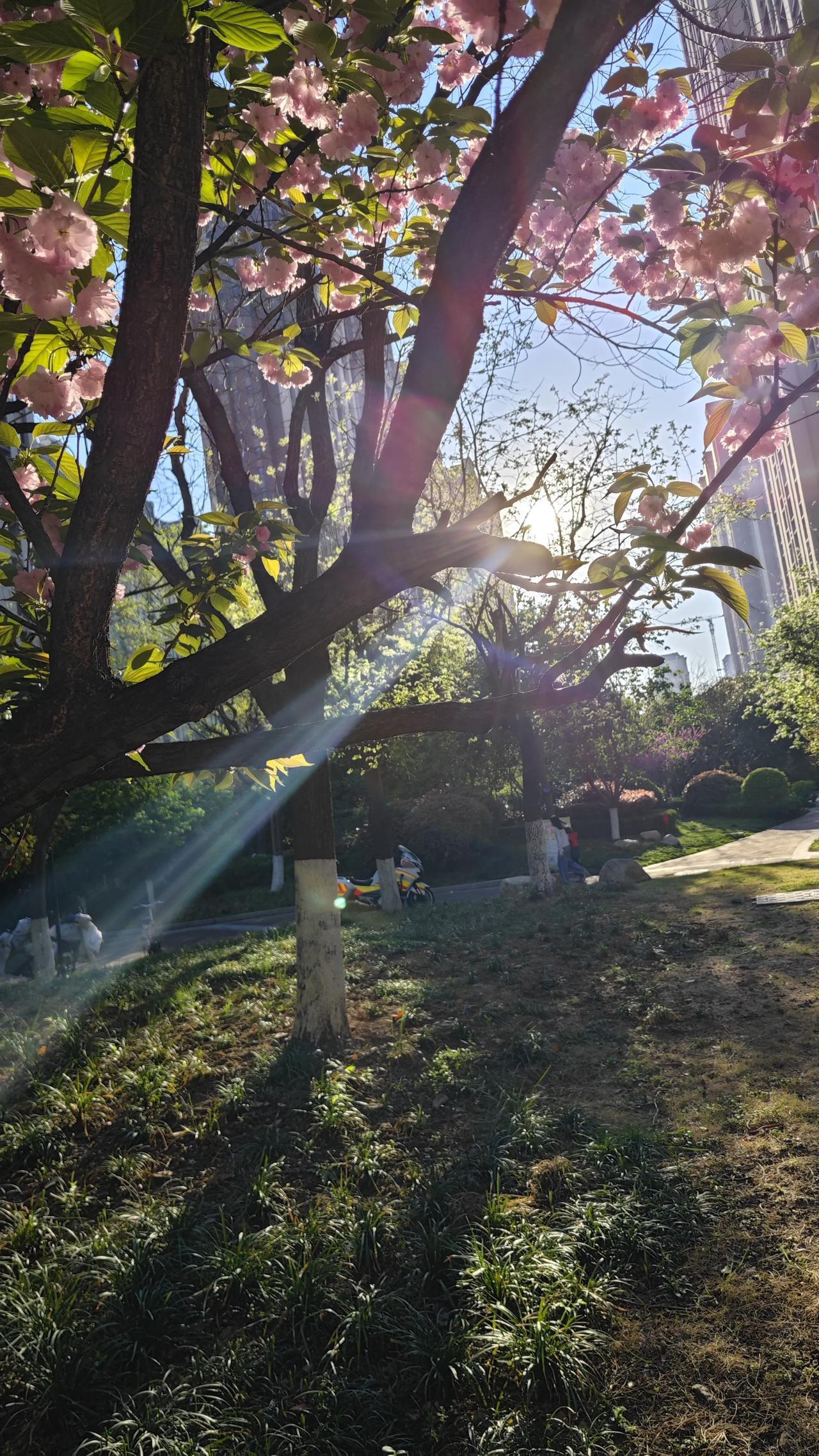 一位老中医说：人只有回归自然，才能真正放松，所以养生，尽量回到山里去，心很快就静