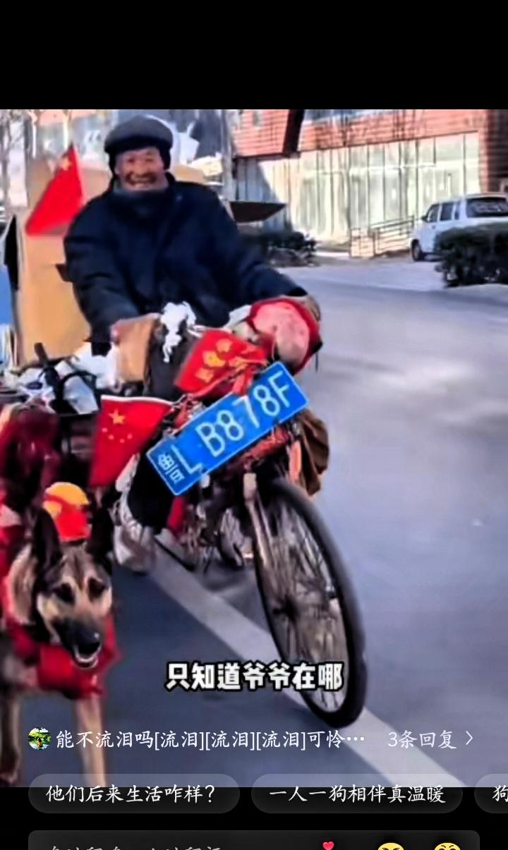 破防了！青岛拾荒大爷身患重病无依无靠，捡到小狗相伴整整十五年，狗狗拼命拉车养家，