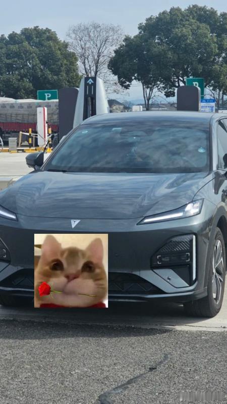 当初买车，销售只会吹智驾有多好用，我也只顾着谈优惠、要脚垫，根本没问芯片是谁家。提车之后一门心思研究
