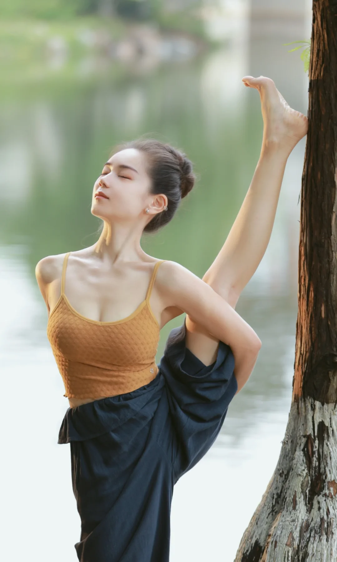 ｜不向外追逐｜只向内安顿