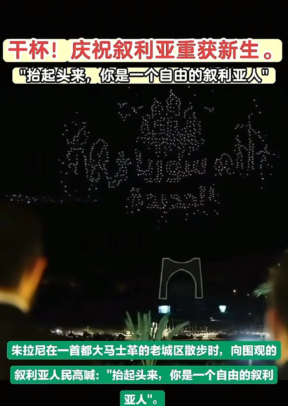 叙利亚没乱专家被打脸嘿，大家伙儿，还记得当年那些“砖家”