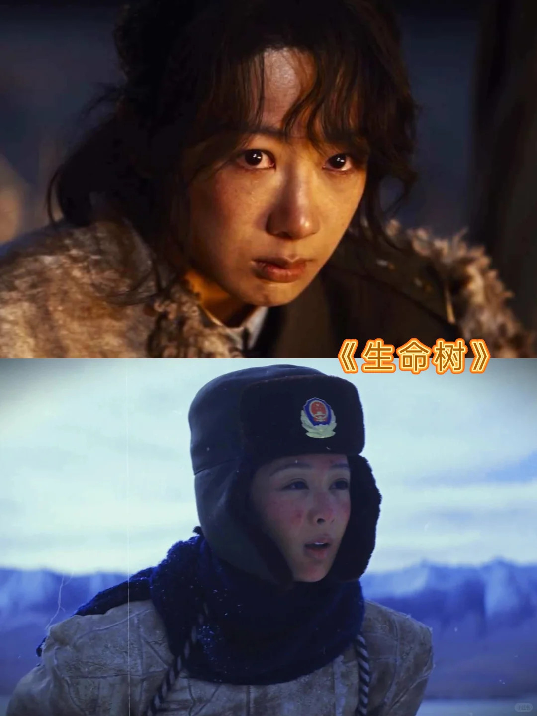 85花白玉兰全部战败∙今年白玉兰我是真没法当路人视后五个名字摆出来——孙俪、杨紫