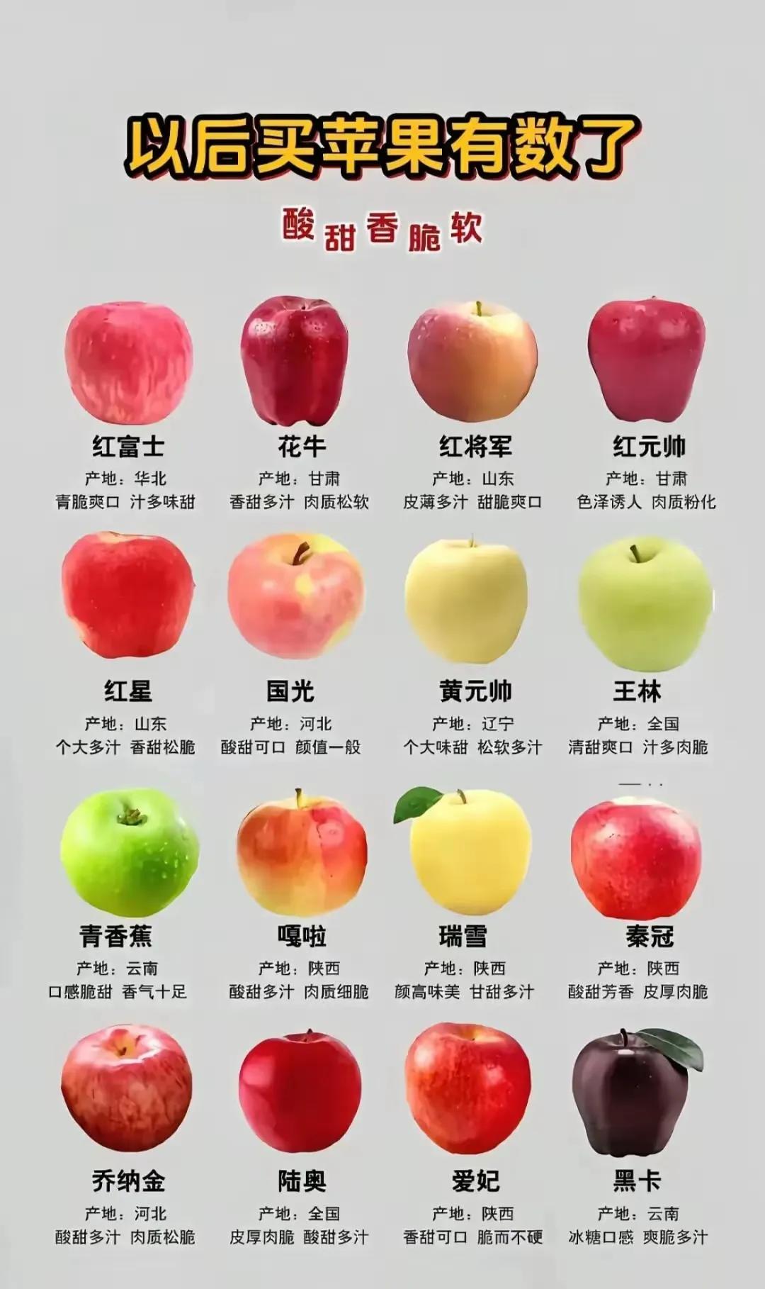 十六种不同品种苹果🍎口感与味道迥异