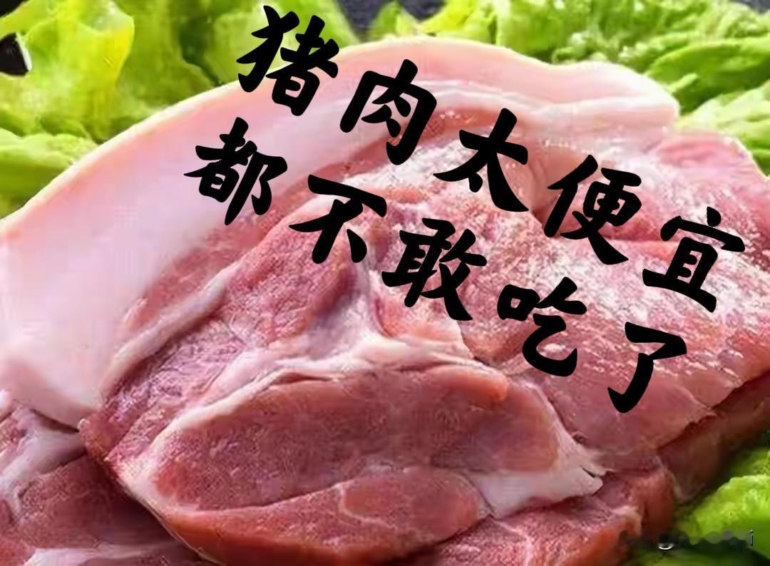矛盾的猪肉几年前，猪肉价格涨到天上去的时候，10块钱买一丁点，炒菜就是感觉香。