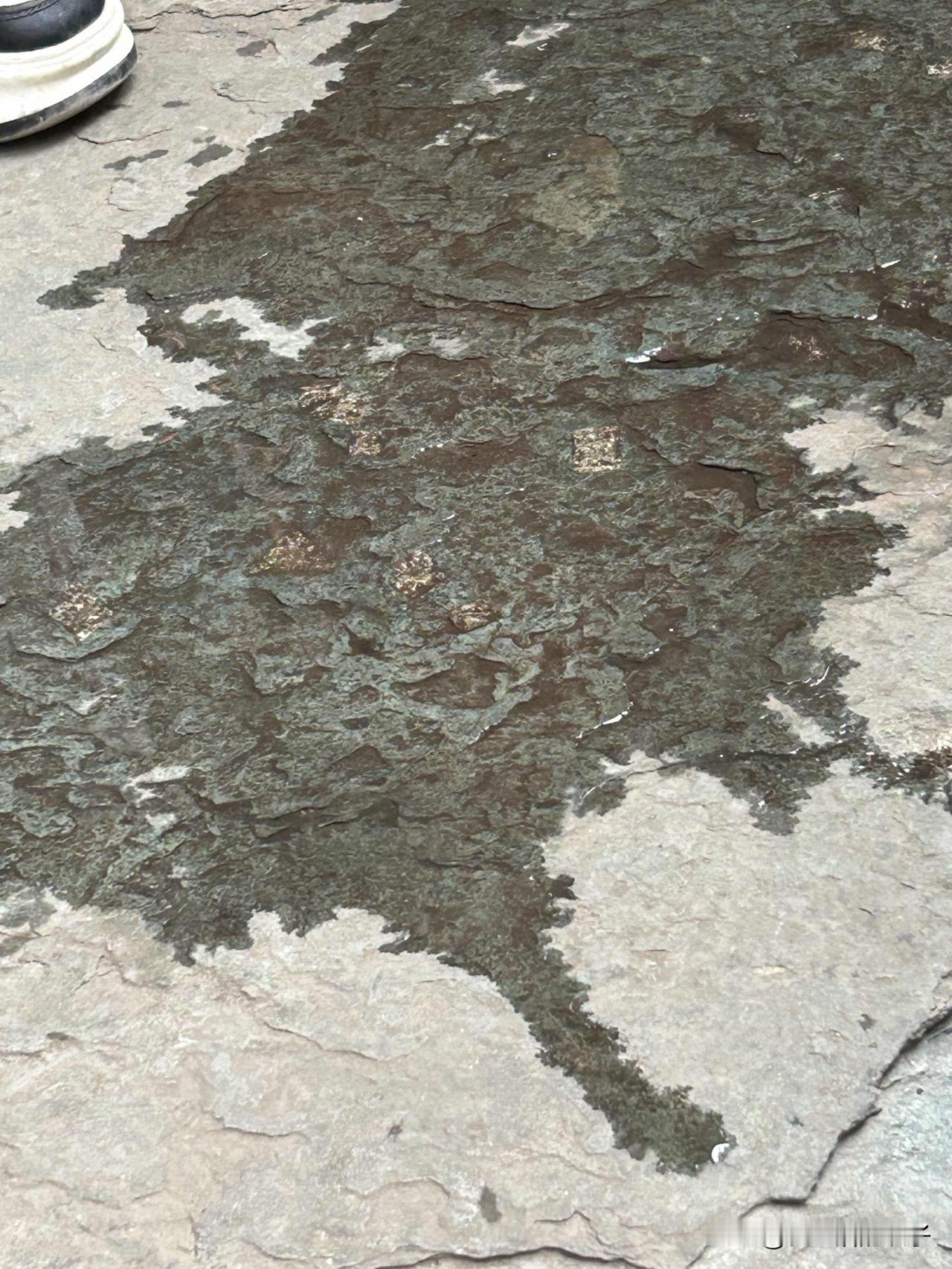 金子台阶啊坐地铁来北京法源寺看看“金台阶”！这可是文物啊，禁止抠挖！