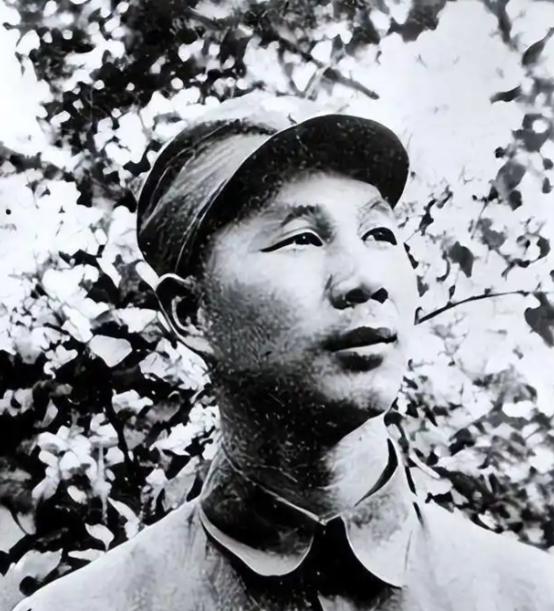 1947年，解放军久攻不下狮脑山，一到夜里，山上还传来小孩哭声，侦察兵冒险摸上山
