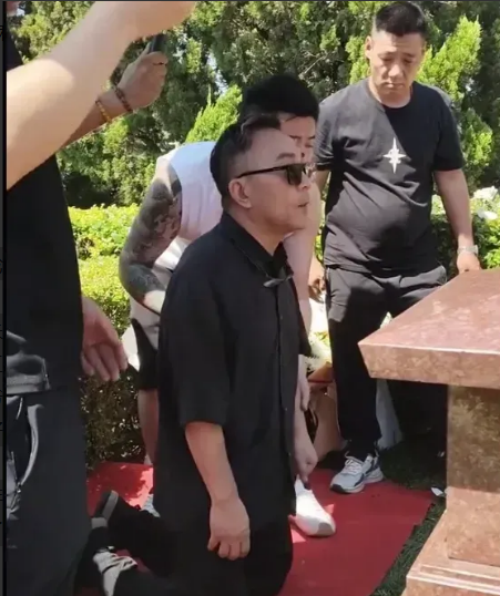 我见过病榻前的不离不弃，也见过灵堂上的悲恸欲绝。实在没想到，杨伦手臂