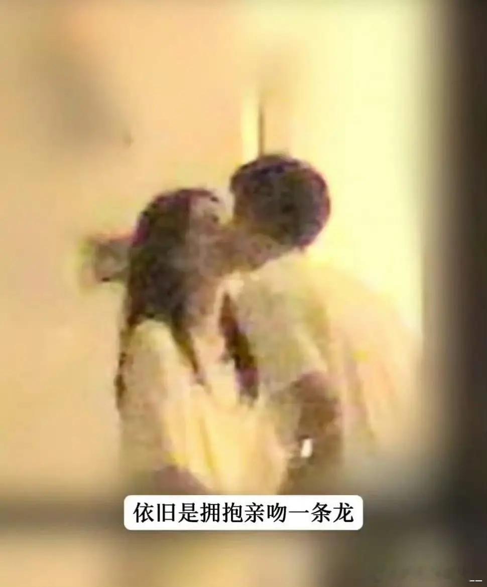 以后内娱明星没拍到这种程度的视频都不算实锤，同不同意？