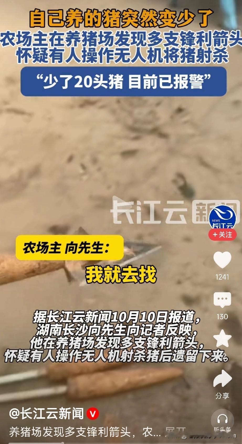 真是大无语事件！某养猪场主清点猪圈时吓出一身冷汗，20头猪不翼而飞，现场只留下