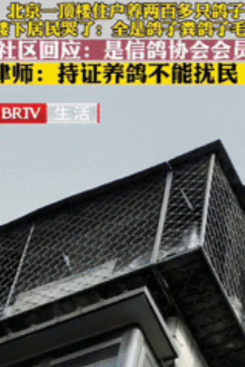 太缺德了”北京一男子花235万元买套房子，结果楼上邻居养了200多只鸽子，他忍无