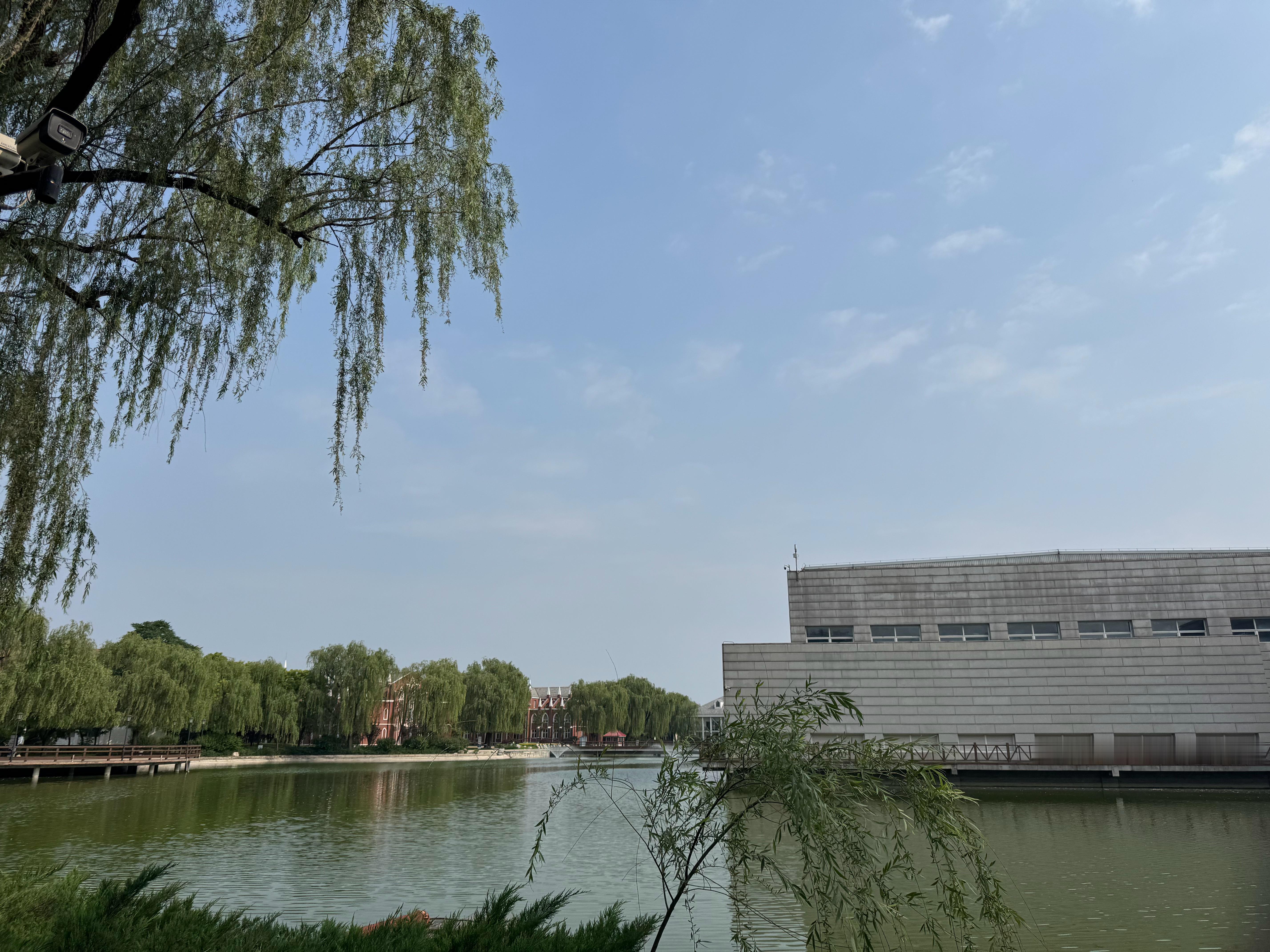 难得起个大早吃上了三种碳水早餐幸福