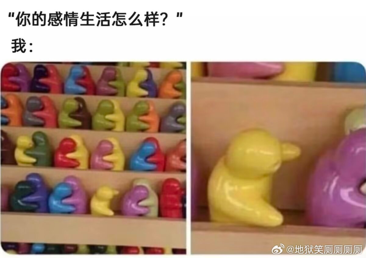 3044我的感情生活状态如下：