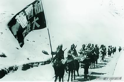 1951年，阿里驻军断粮，连马都杀了吃。眼看全军都要饿死，一个小战士干了一件事，
