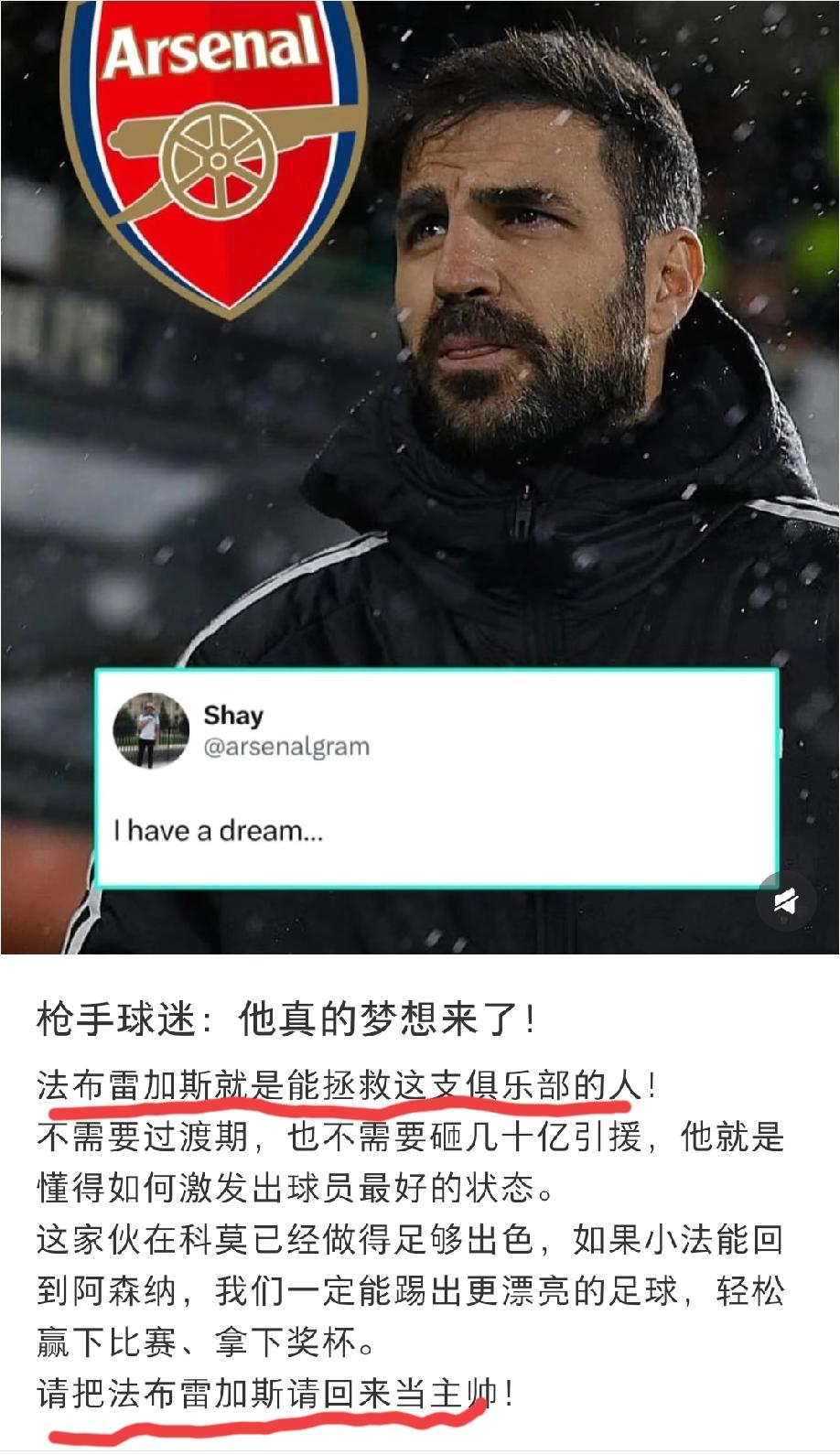 阿森纳“球迷”发出呐喊:请把法布雷加斯请回来当主教练，他就是那个能拯救这支俱乐部