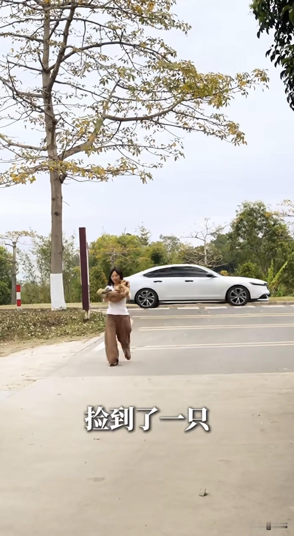 泪目了！一位小姐姐和同事在一个农场工作，这天她在农场附近的马路上看到了一只狗狗被